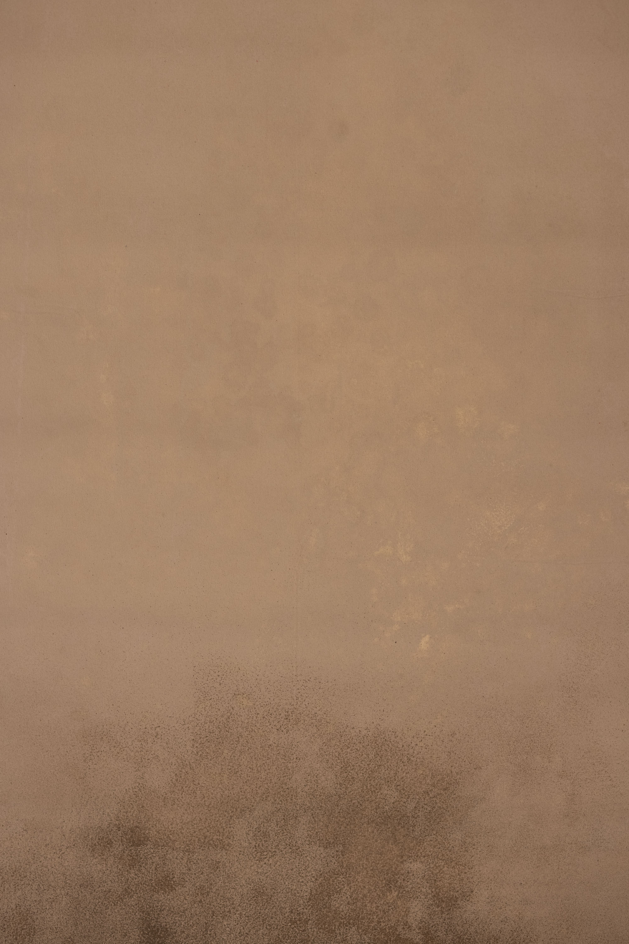 Cocoa Dust Painted Canvas Backdrop (RN#558) view 2