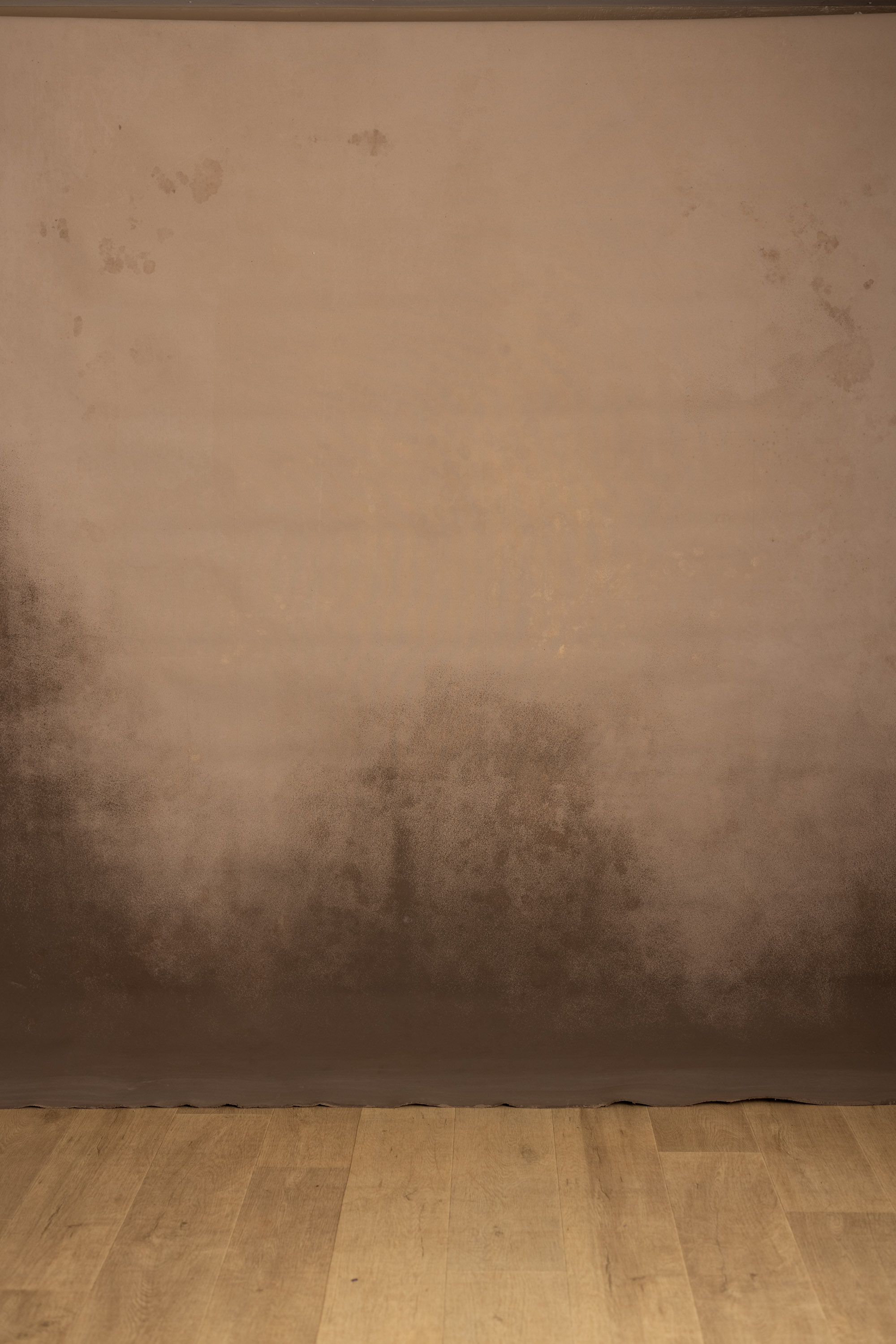 Cocoa Dust Painted Canvas Backdrop (RN#558) view 3
