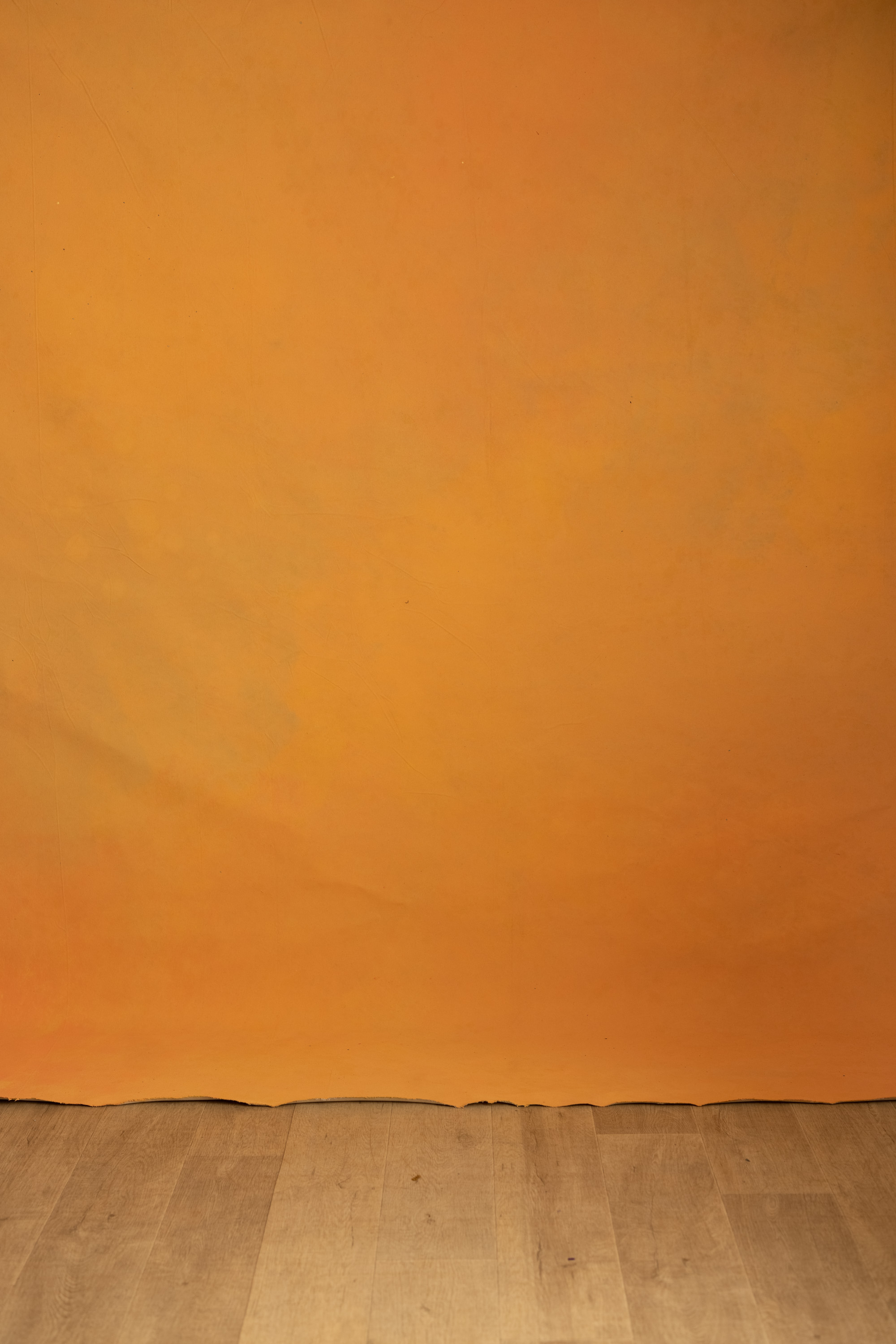 Golden Hour Painted Canvas Backdrop (RN#556) view 3