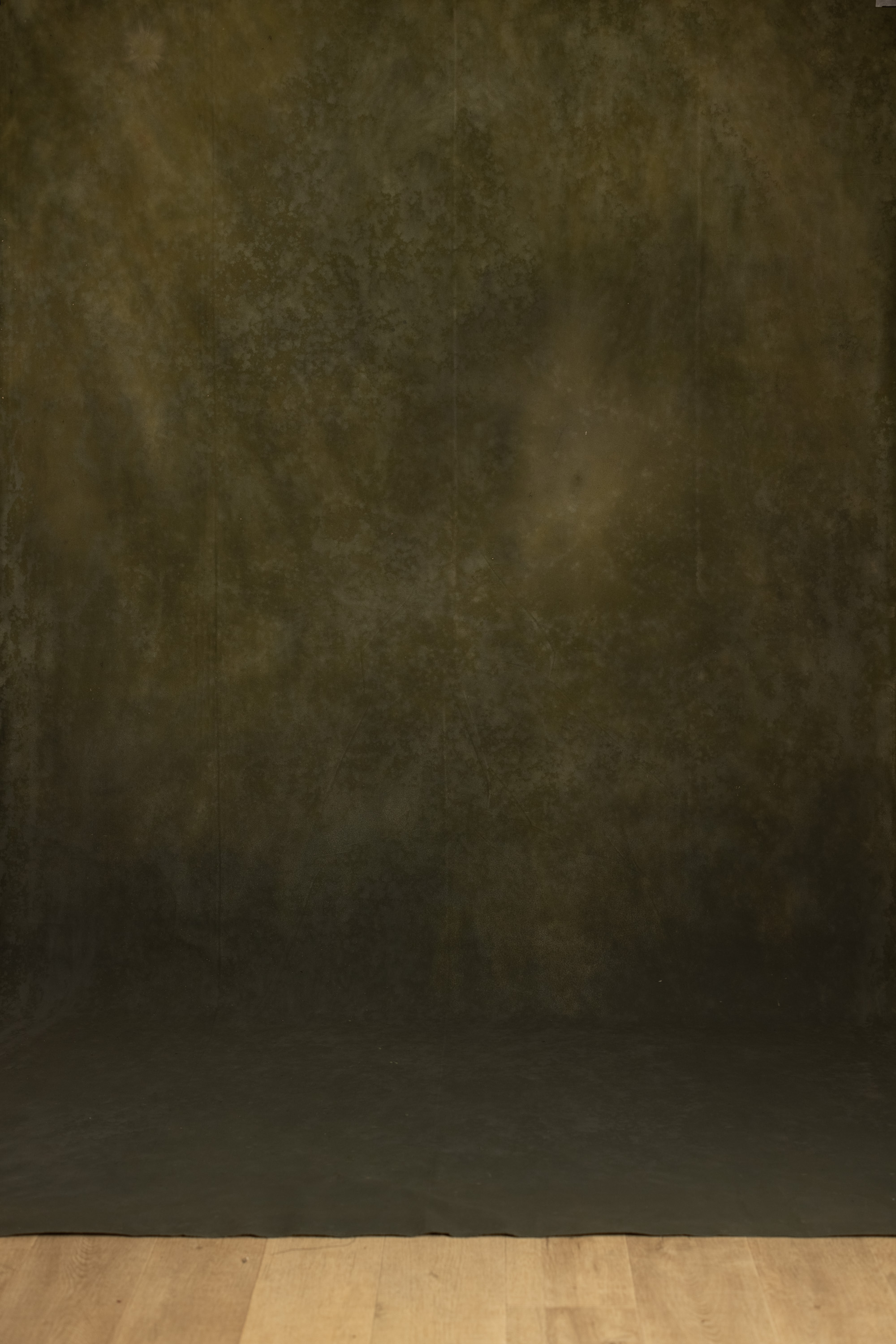 Pine Painted Canvas Backdrop (RN#561) view 3