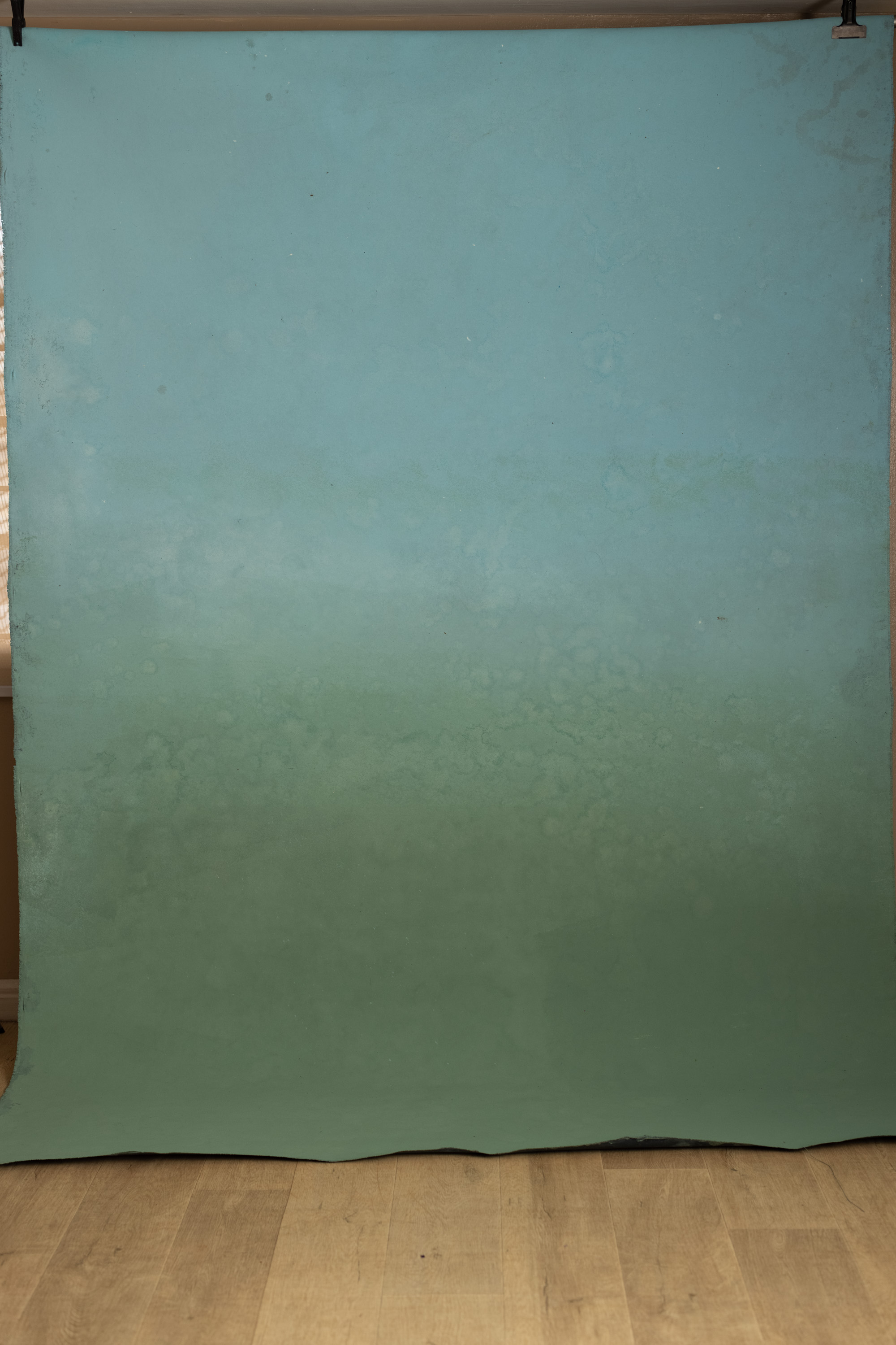 Tidal Moss Painted Canvas Backdrop (RN#555) view 6