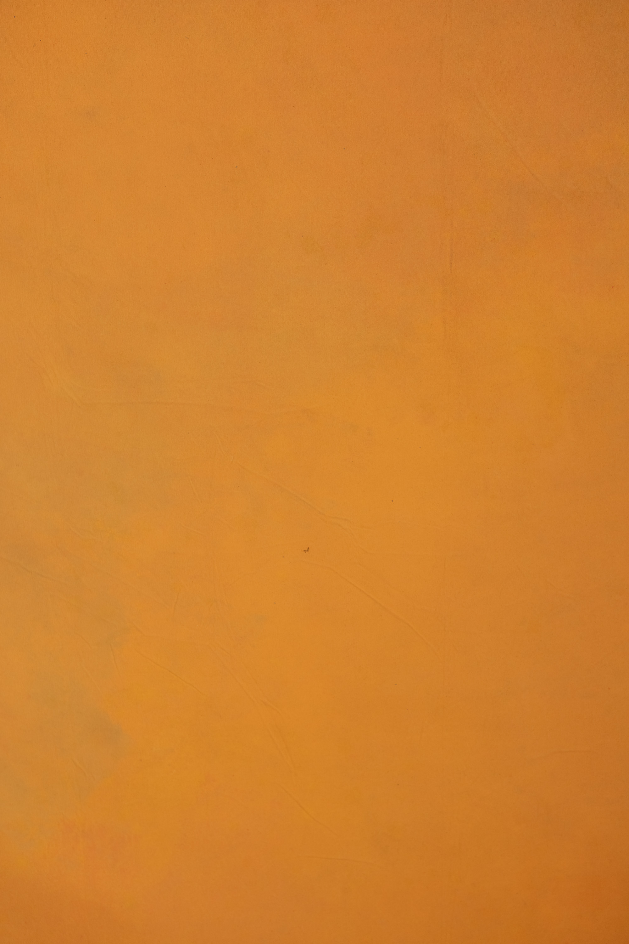 Golden Hour Painted Canvas Backdrop (RN#556) view 2