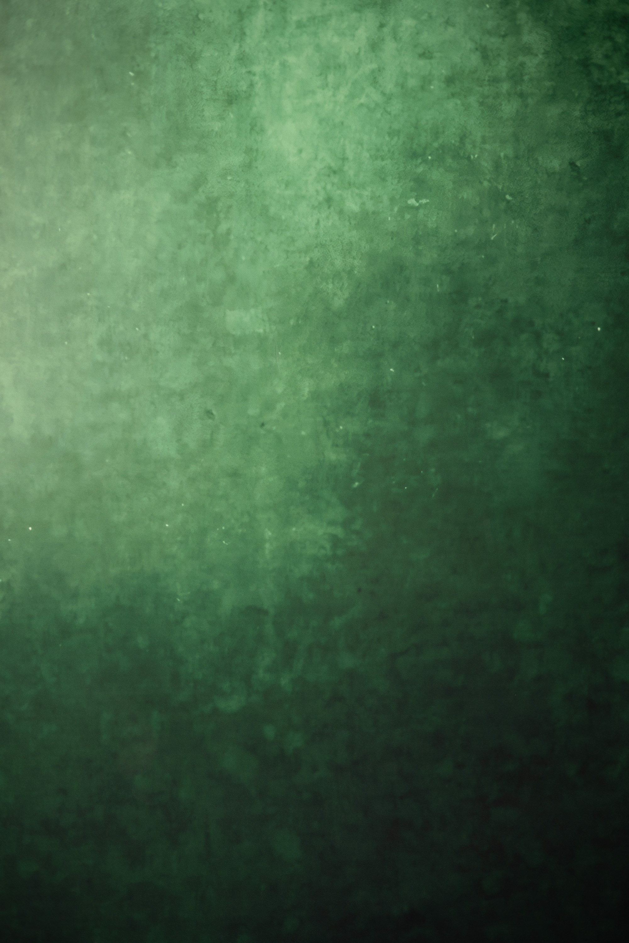 Hippie Green Printed Paper Backdrop (RN#570) view 2