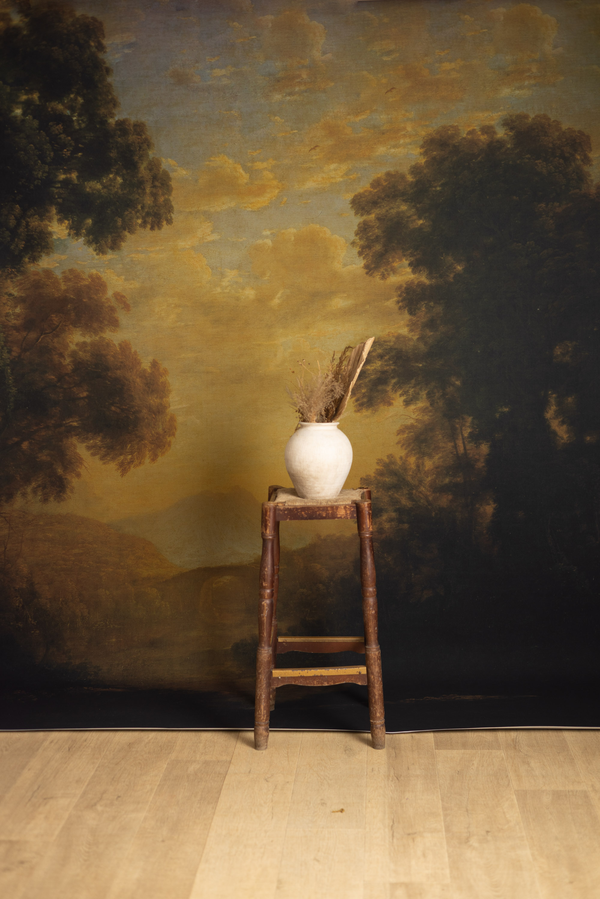 Golden Arcadia Printed Paper Backdrop(RN#576)