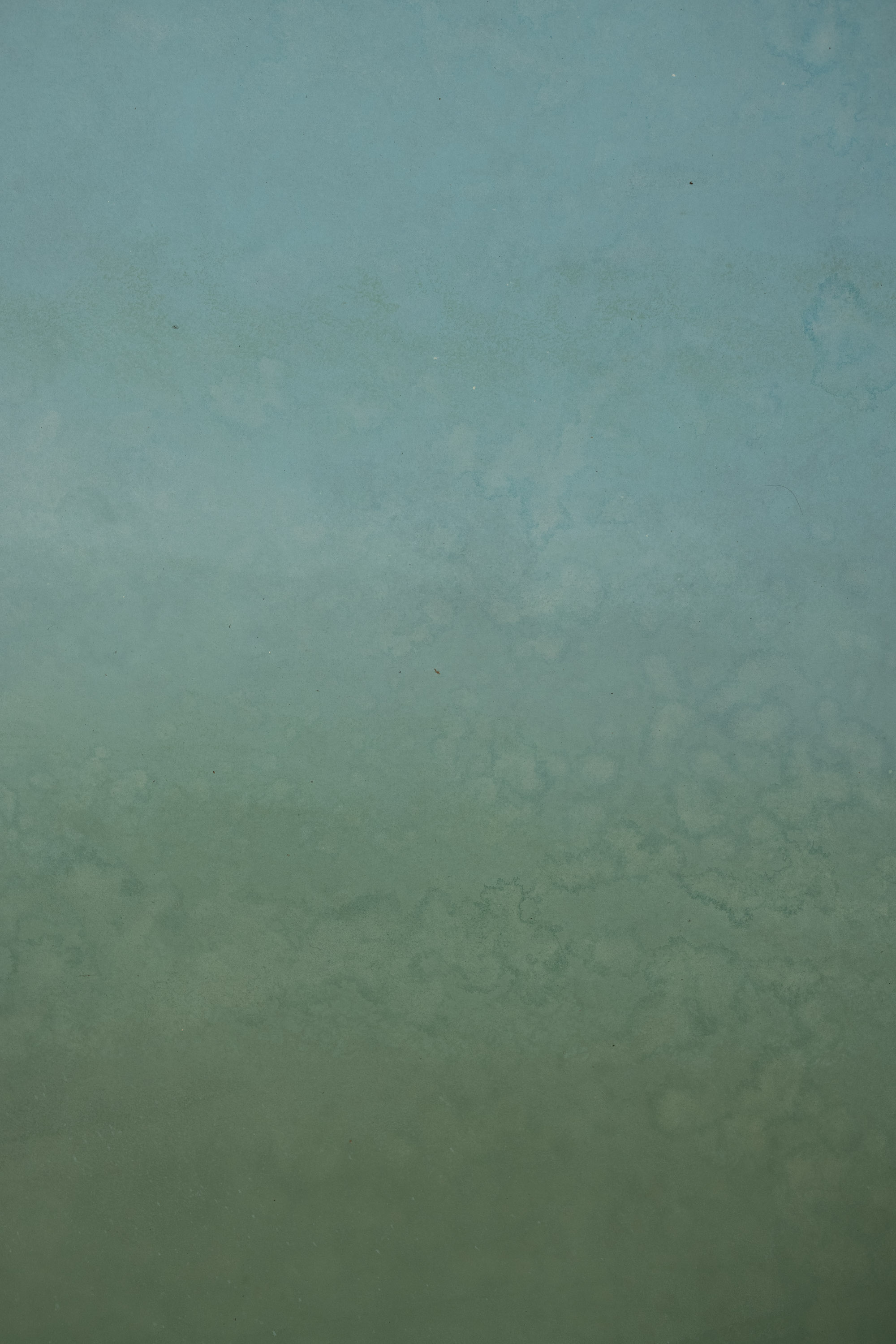 Tidal Moss Painted Canvas Backdrop (RN#555) view 5
