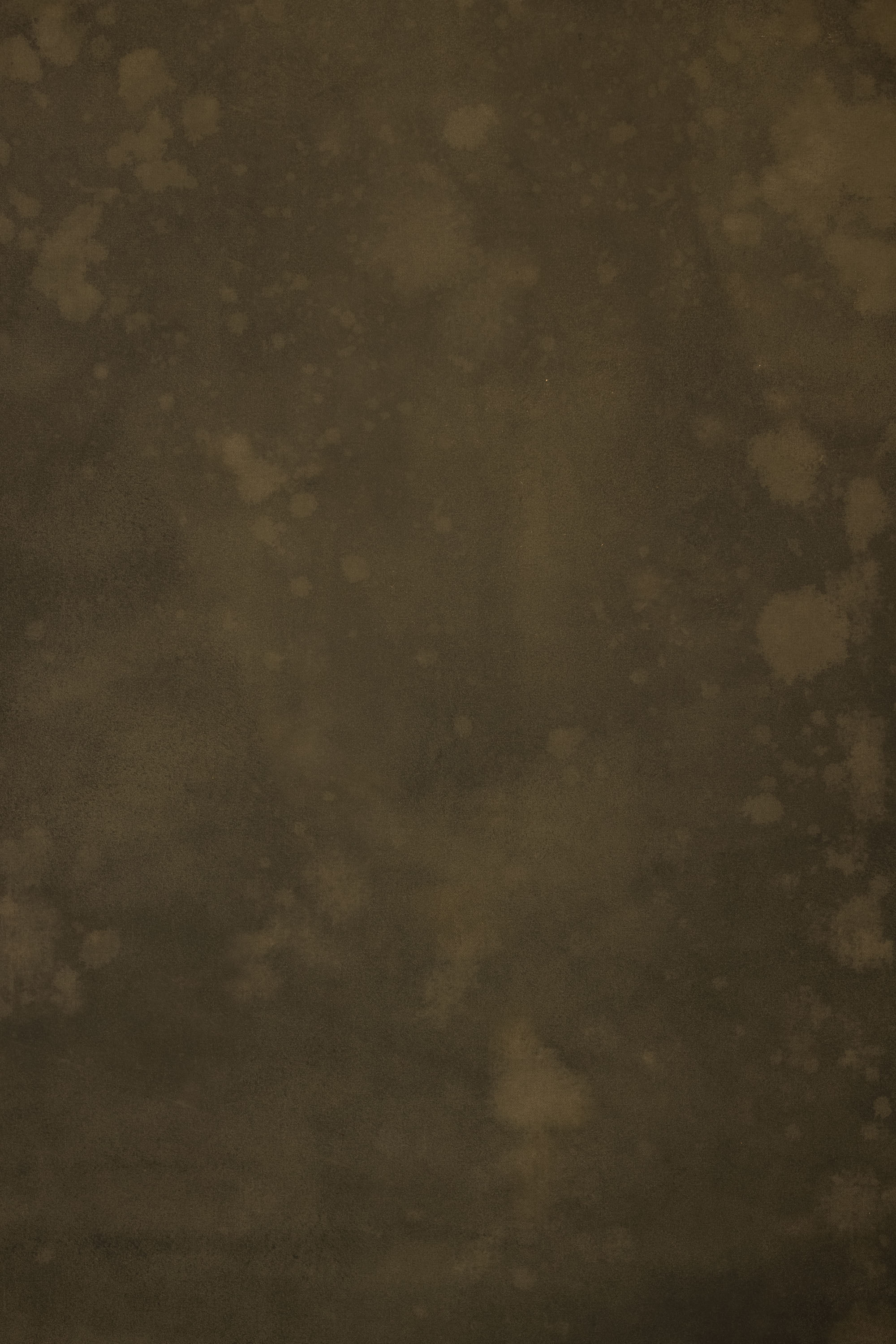 Moss Cinnamon Painted Canvas Backdrop (RN#563) view 2