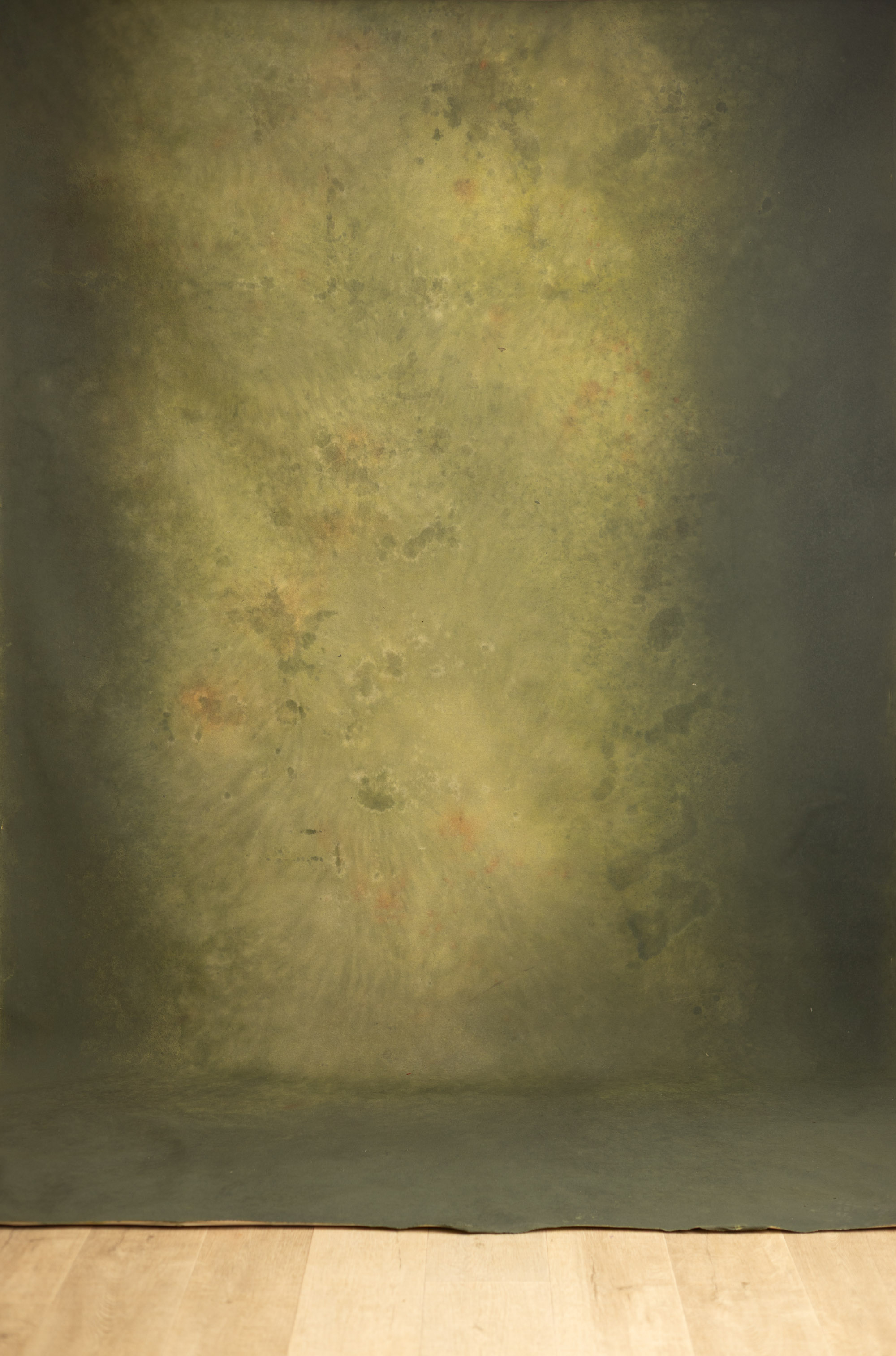 Olive Reverie Painted Canvas Backdrop (RN#551) view 3