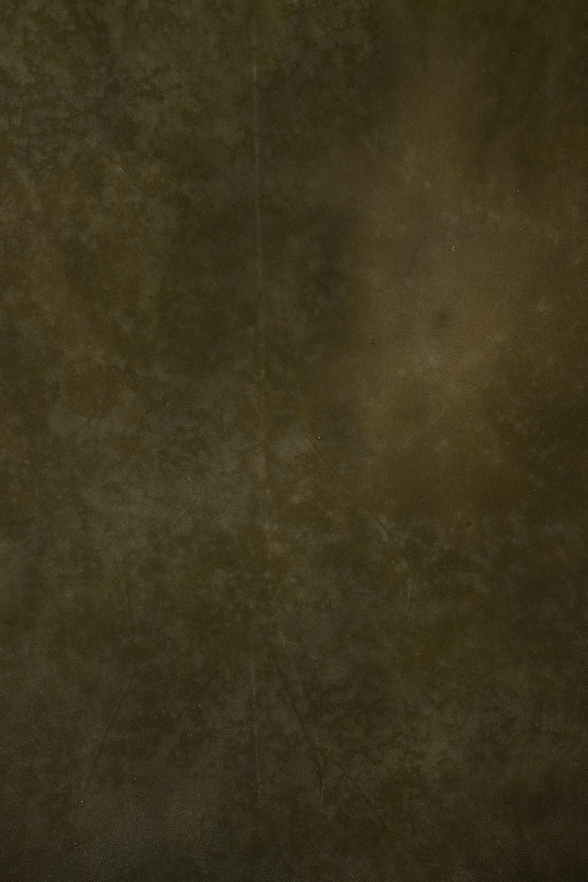 Pine Painted Canvas Backdrop (RN#561) view 2