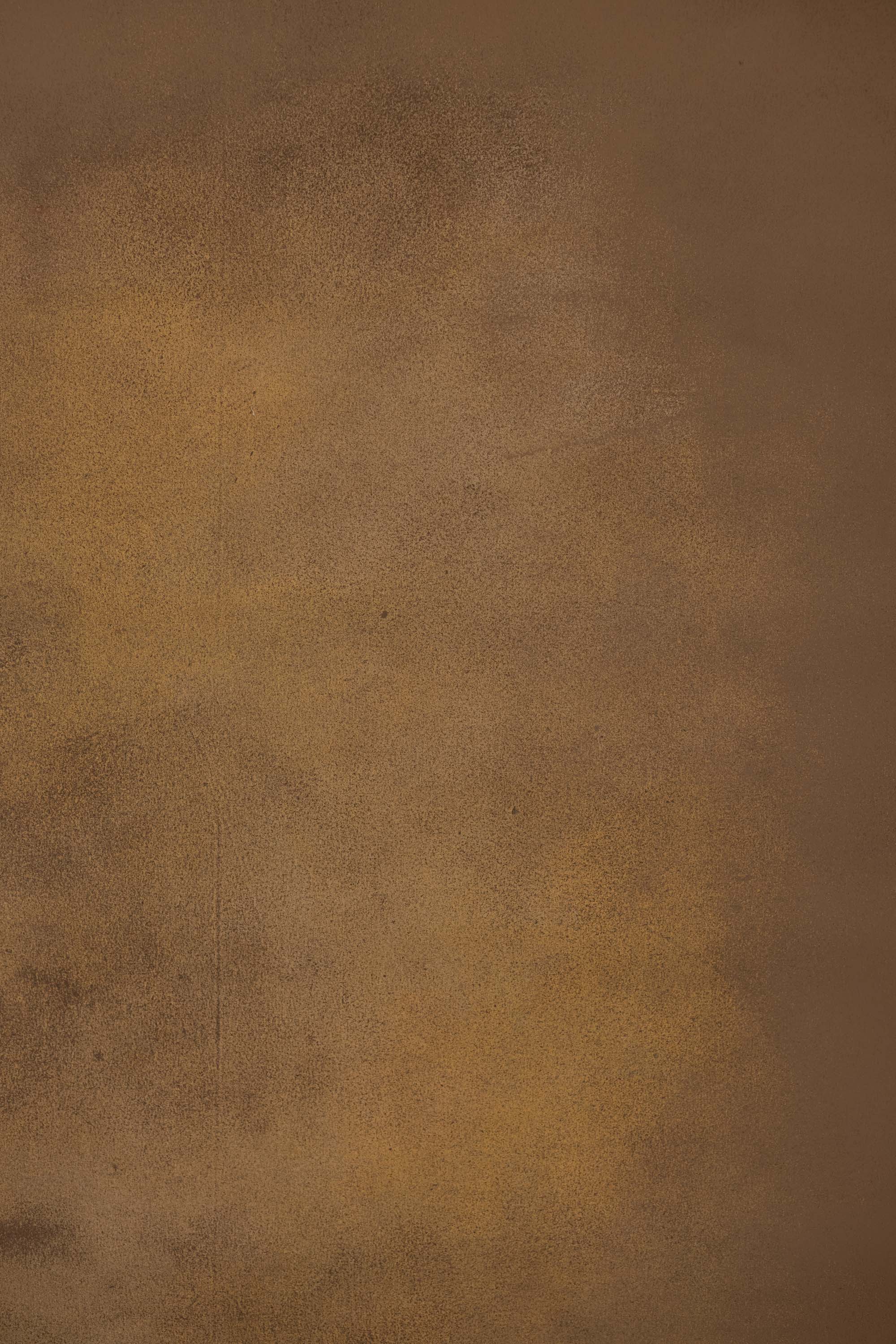 Cocoa Dust Painted Canvas Backdrop (RN#558) view 5
