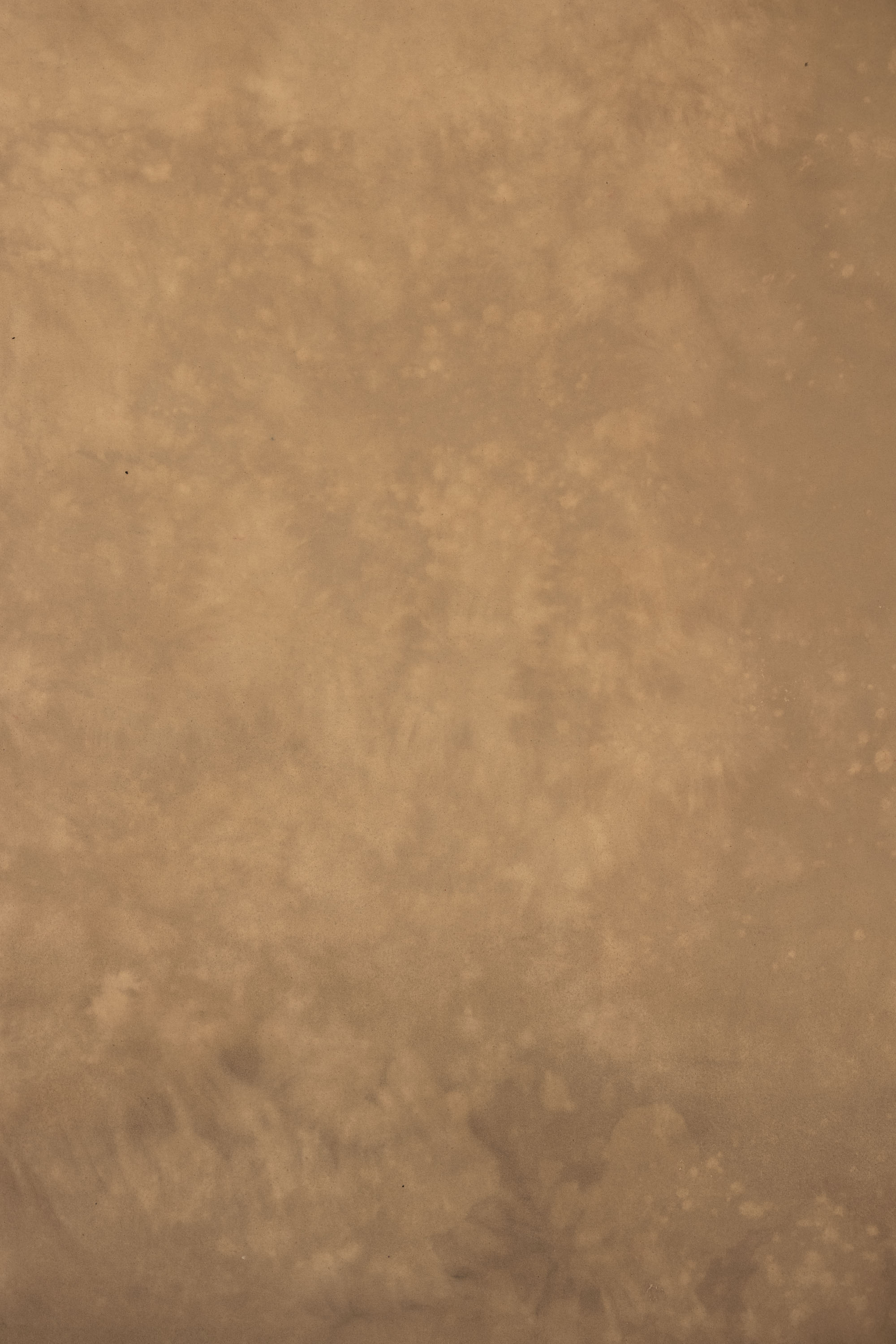 Tawny Painted Canvas Backdrop (RN#553) view 2