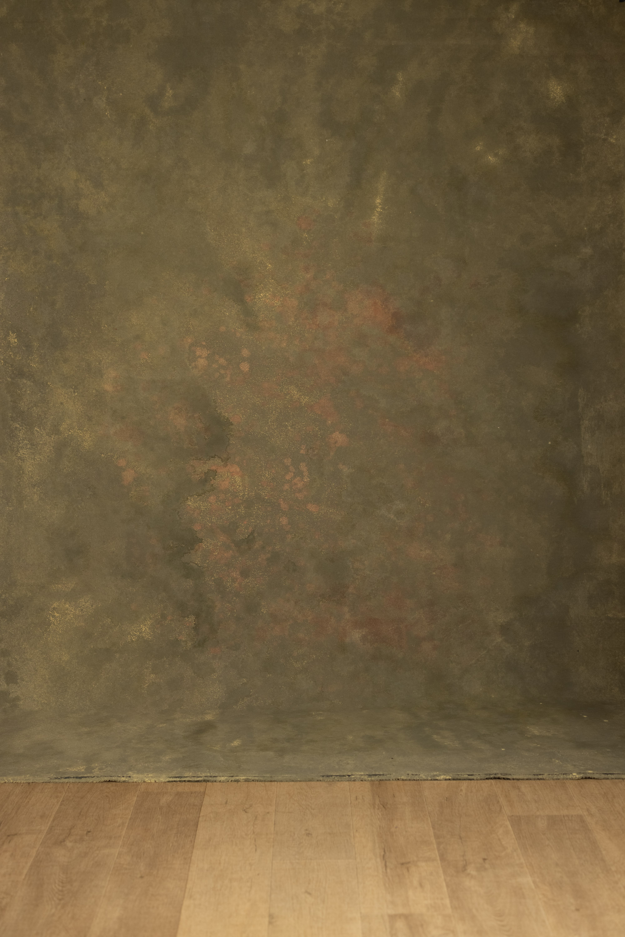 Finch Painted Canvas Backdrop (RN#564) view 3