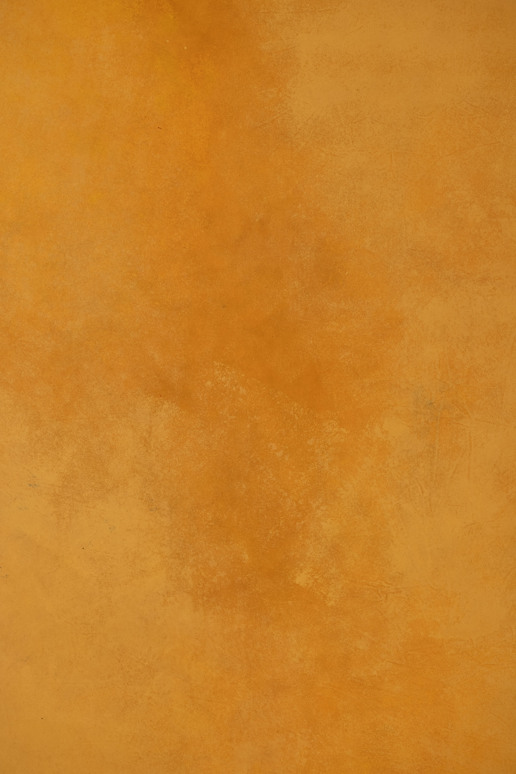 Marigold Puce Painted Canvas Backdrop (RN#568) view 6