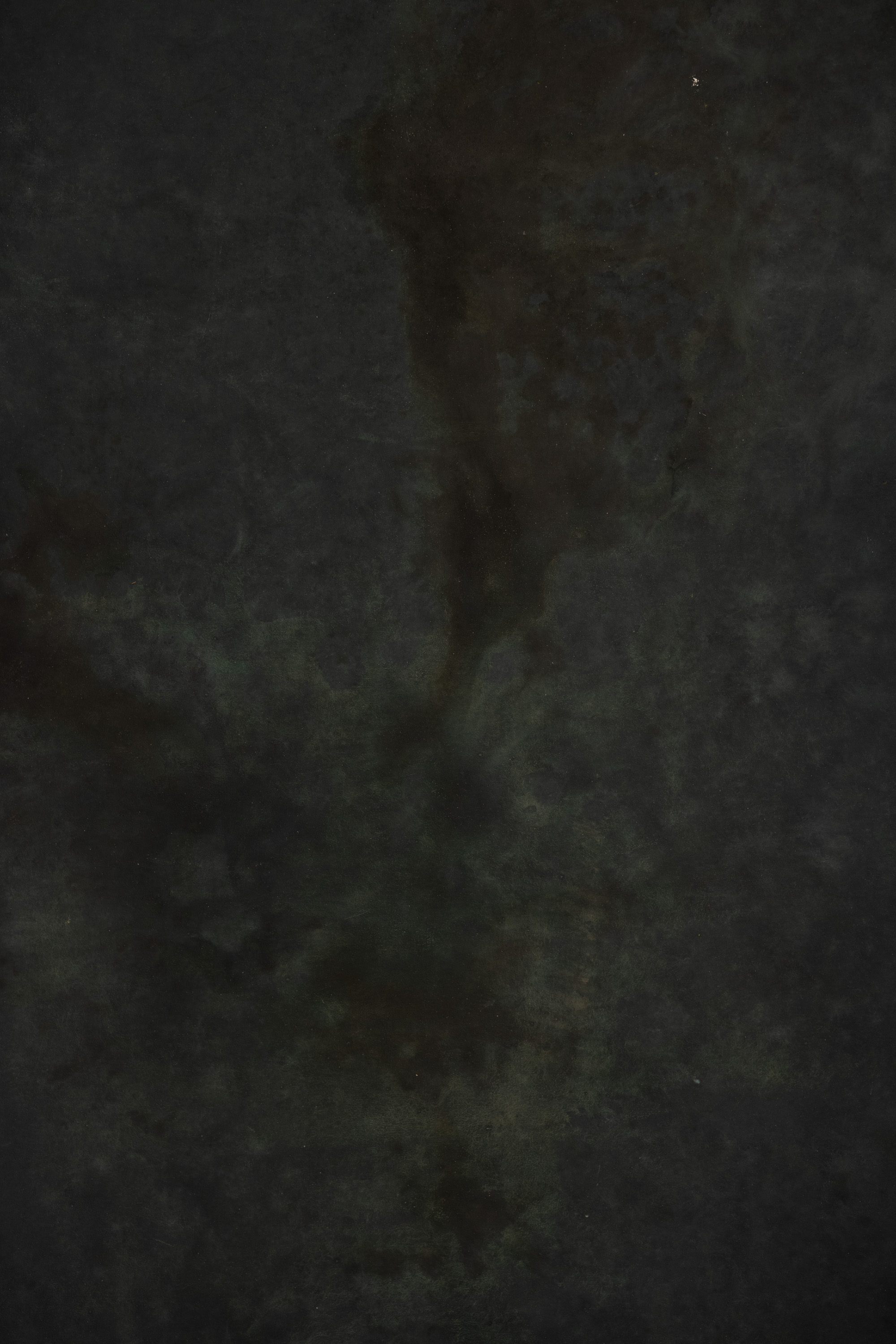 Tidal Moss Painted Canvas Backdrop (RN#555) view 2