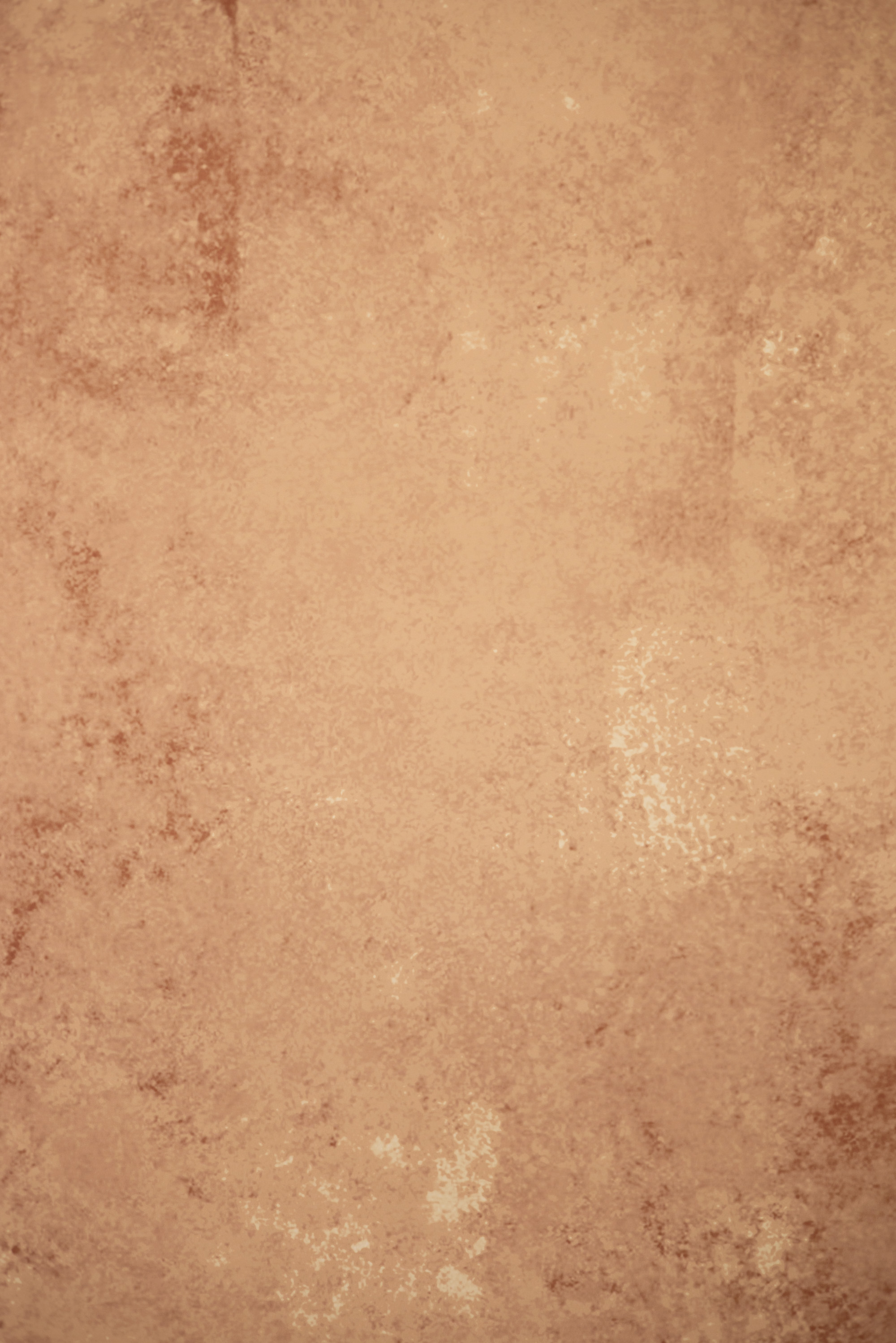 Canyon Bloom Printed Paper Backdrop(RN#577) view 3