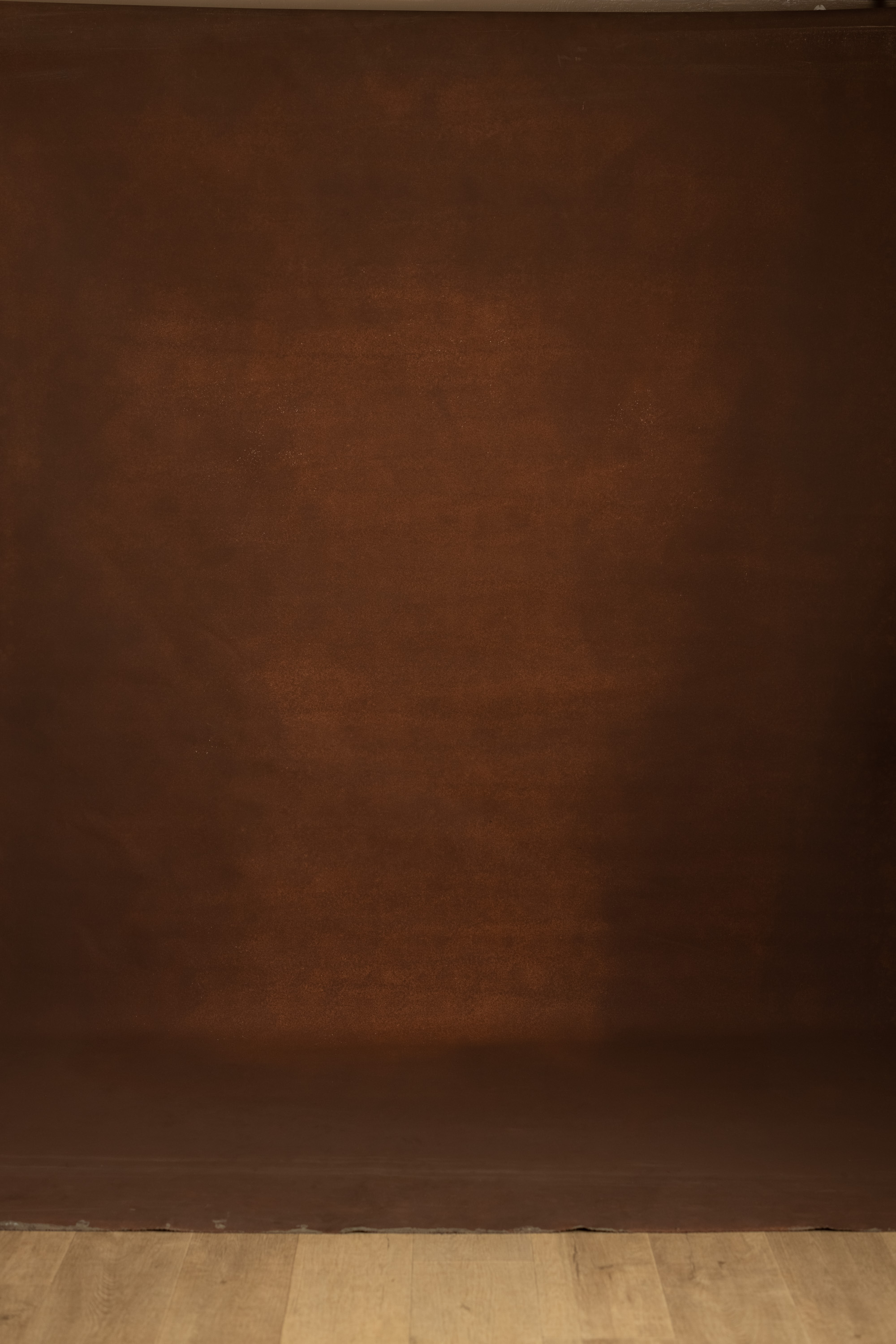 Moss Cinnamon Painted Canvas Backdrop (RN#563) view 6