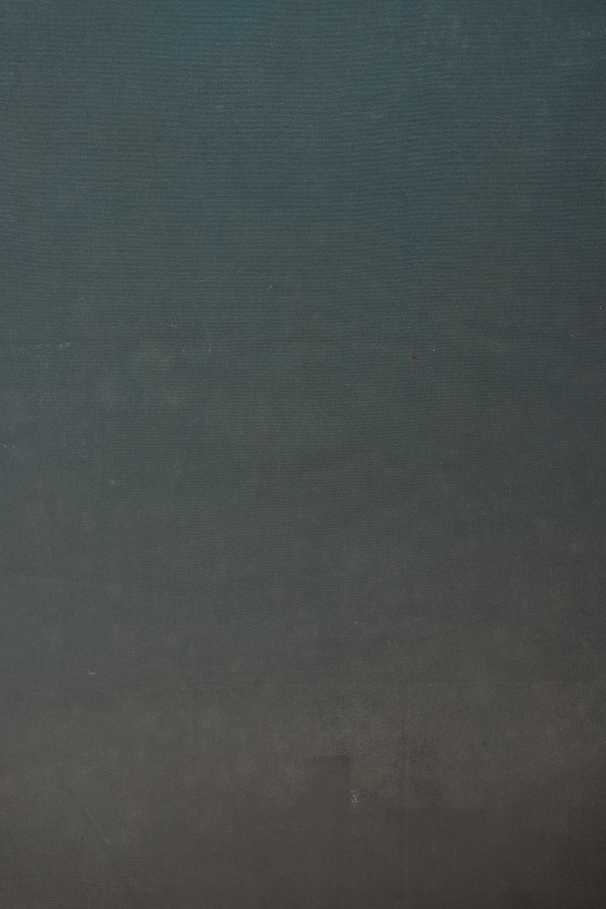 Peacock Bark Painted Canvas Backdrop (RN#569) view 5